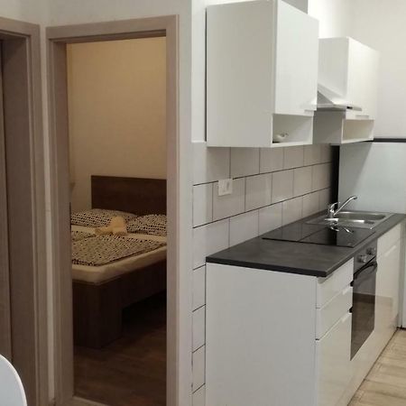 Appartma Katja Gabrovica pri Črnem Kalu Dış mekan fotoğraf